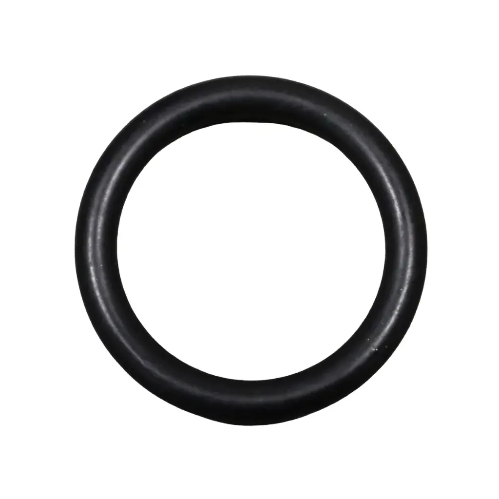 O-ring