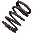 Valve spring