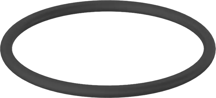 O-ring
