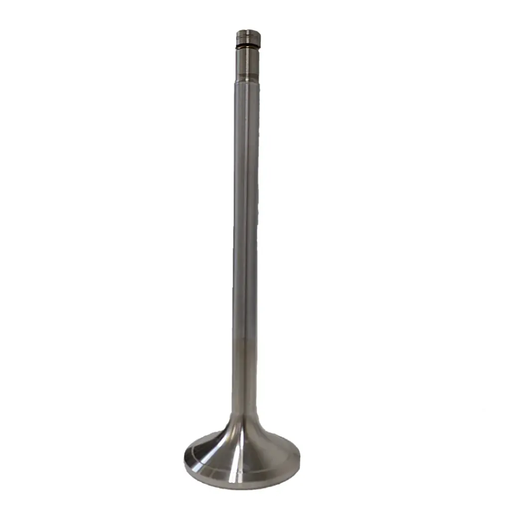 Einlassventil..Typ6.62.9.ST