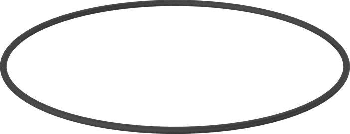 O-Ring