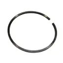 Piston ring