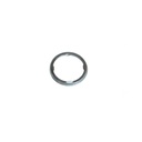 anel vedante..18.x.2