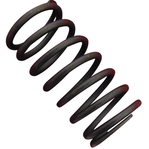 [254403] Valve spring