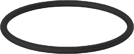 O-ring..100.x.5